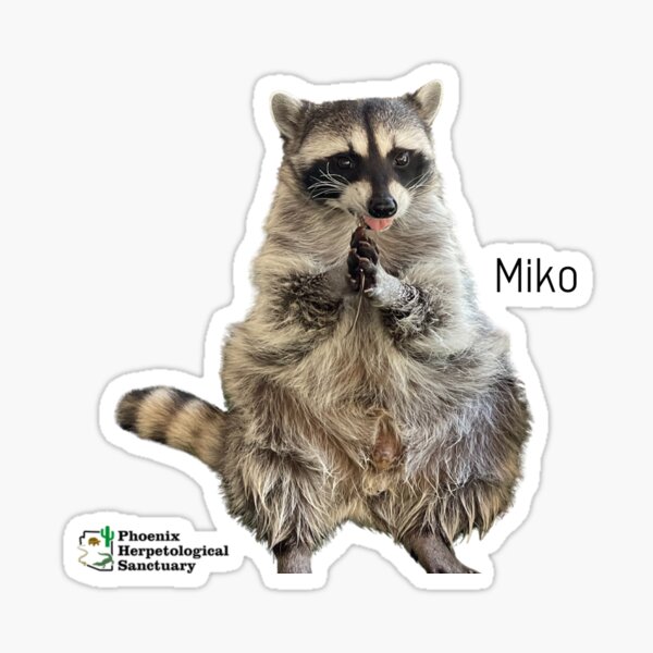 Miko Sticker
