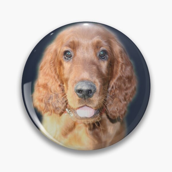 Artikelvorschau, Fragen Sie mich nach meinem Irish Setter entworfen und verkauft von Mythen.