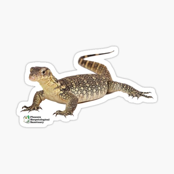 Asian Water Monitor Sticker