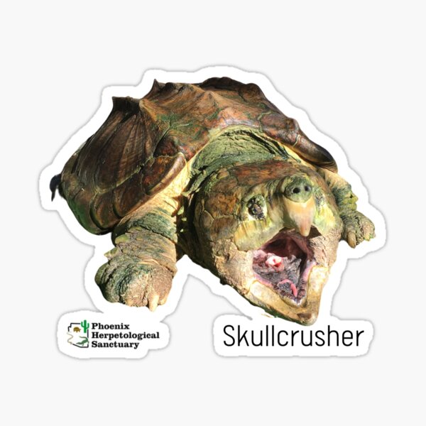 Skullcrusher Alligator Snapping Turtle Sticker