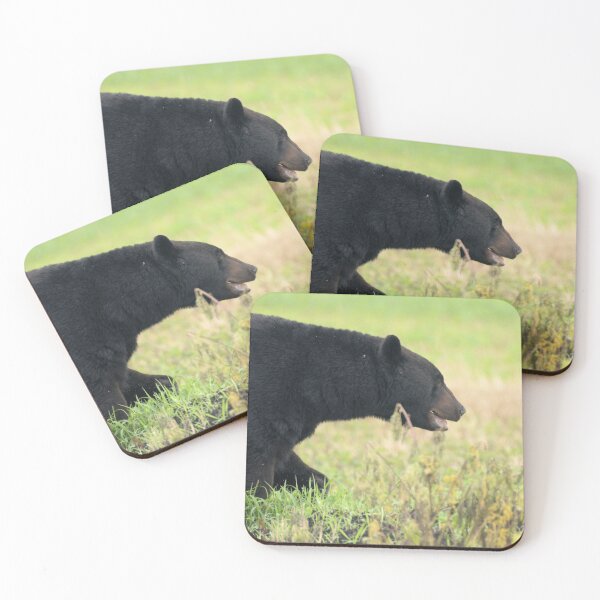 Item preview, Profile view of Big Bear designed and sold by Jeff Ore.