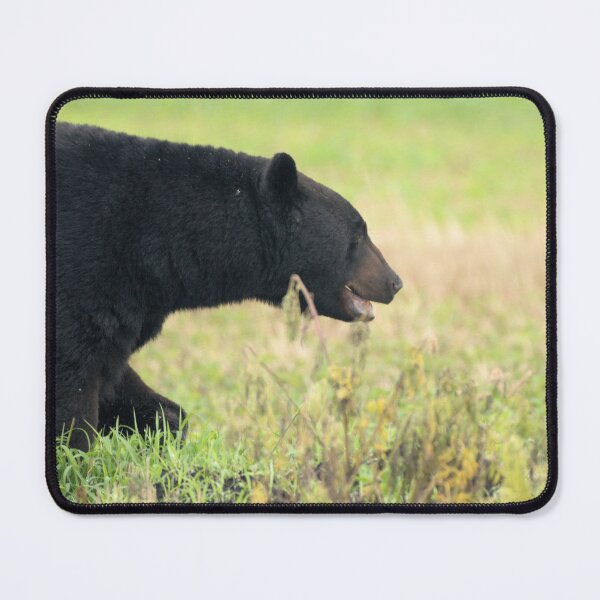 Item preview, Profile view of Big Bear designed and sold by Jeff Ore.
