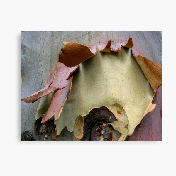 Office Depot Canvas Prints Redbubble