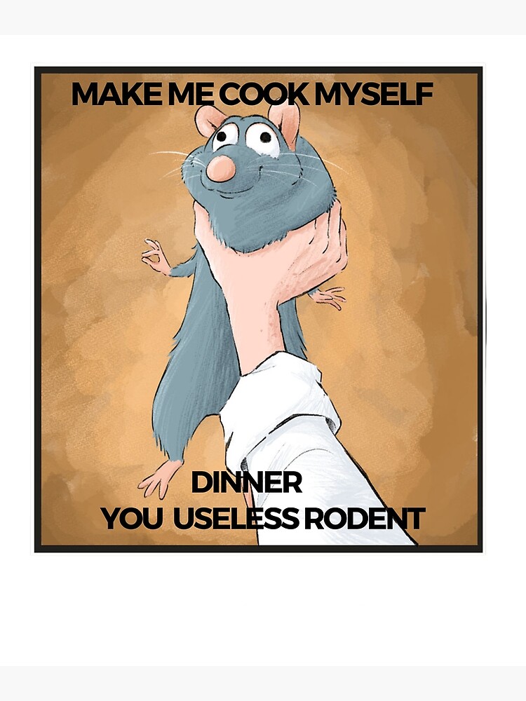 "Make me cook myself dinner you useless robent Ratatouille Memes