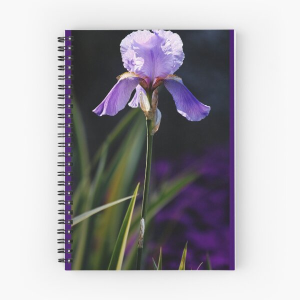 Item preview, Bearded Iris - Sun and Shadows designed and sold by T.J. Martin.