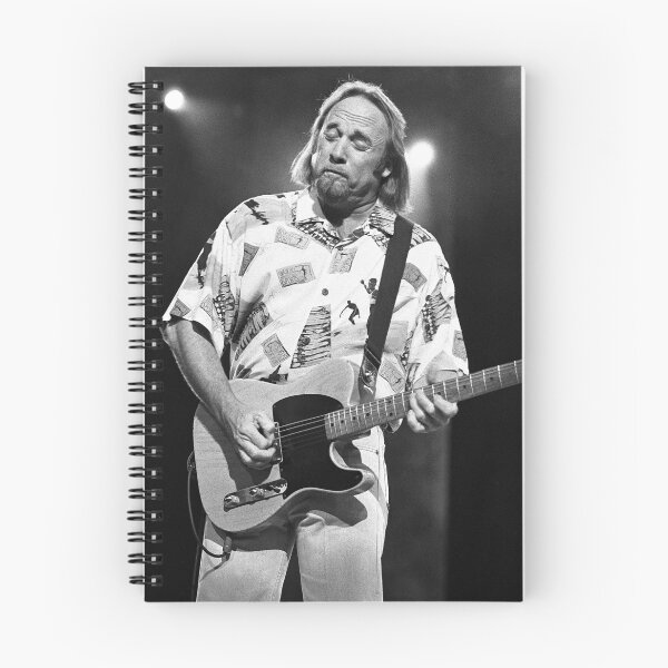 Item preview, Stephen Stills - CSN - BW Photograph designed and sold by ConcertImages.