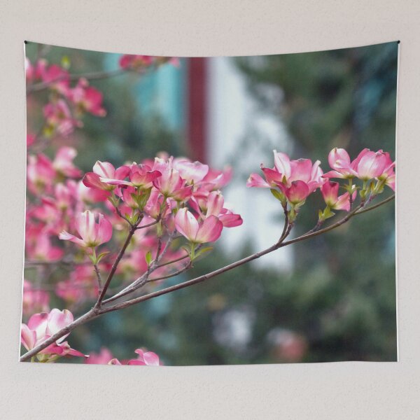 Item preview, Pink Dogwood designed and sold by Frankie Cat Photography.