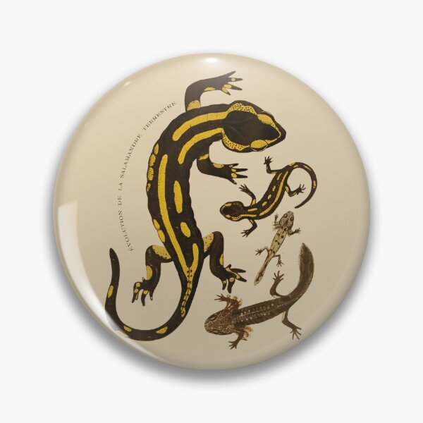 Item preview, Salamandra designed and sold by Ztudio.