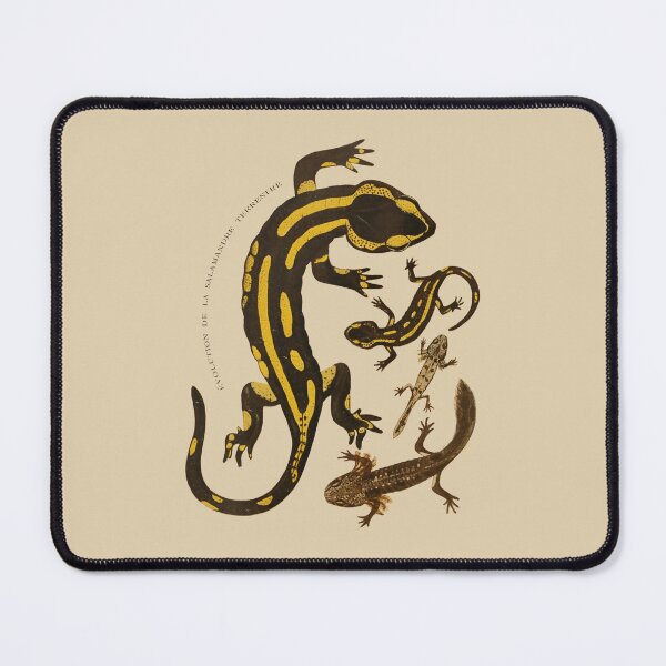 Item preview, Salamander designed and sold by Ztudio.