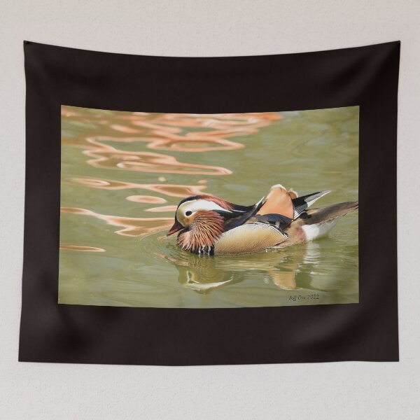 Item preview, Mandarin Duck swims in pond designed and sold by Jeff Ore.