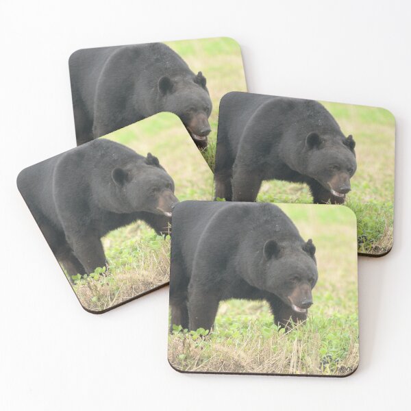 Item preview, Big Bore black Bear in soybean Field designed and sold by Jeff Ore.