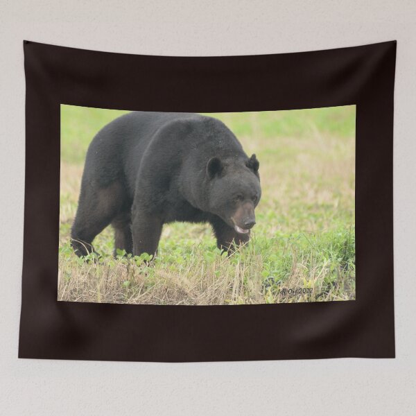 Item preview, Big Bore black Bear in soybean Field designed and sold by Jeff Ore.