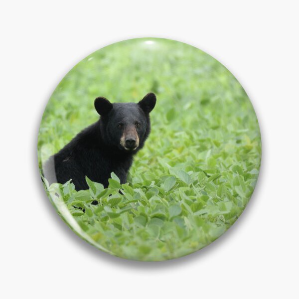Item preview, A young Black Bear sits in a soybean Field designed and sold by Jeff Ore.