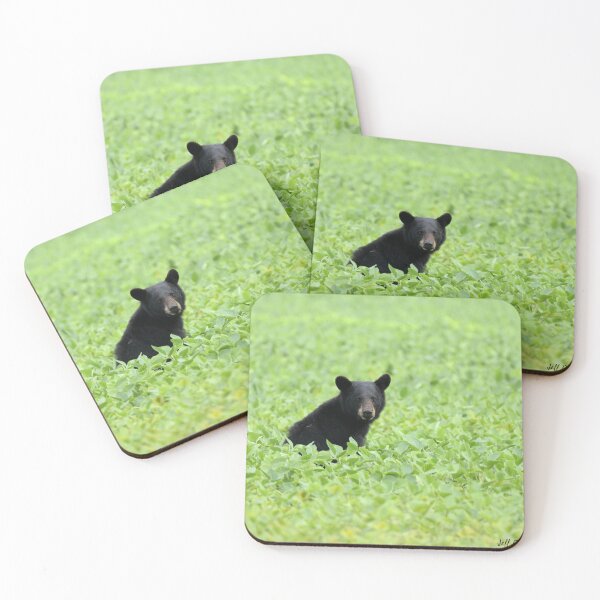 Item preview, A young Black Bear sits in a soybean Field designed and sold by Jeff Ore.