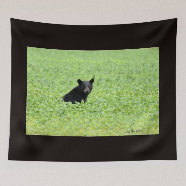 Item preview, A young Black Bear sits in a soybean Field designed and sold by Jeff Ore.
