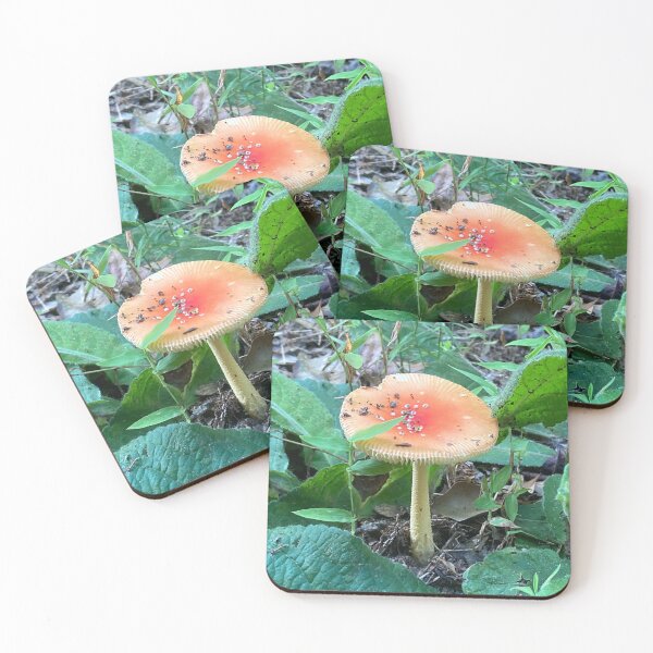 Item preview, Peach Color Wild Forest Mushroom  designed and sold by silviaol.