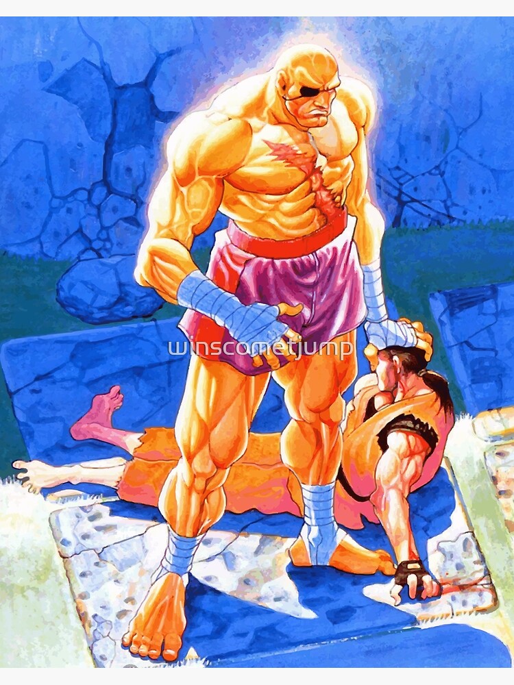 Blanka Street Fighter II Poster for Sale by winscometjump