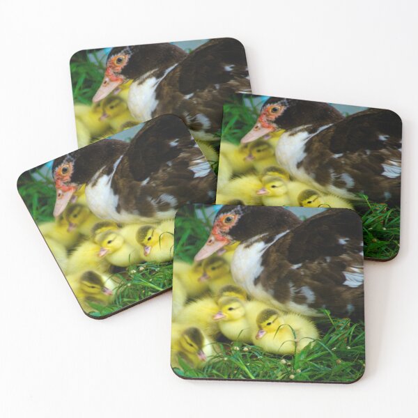 Item preview, hll ducklings designed and sold by pcfyi.