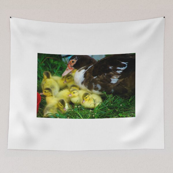 Item preview, hll ducklings designed and sold by pcfyi.