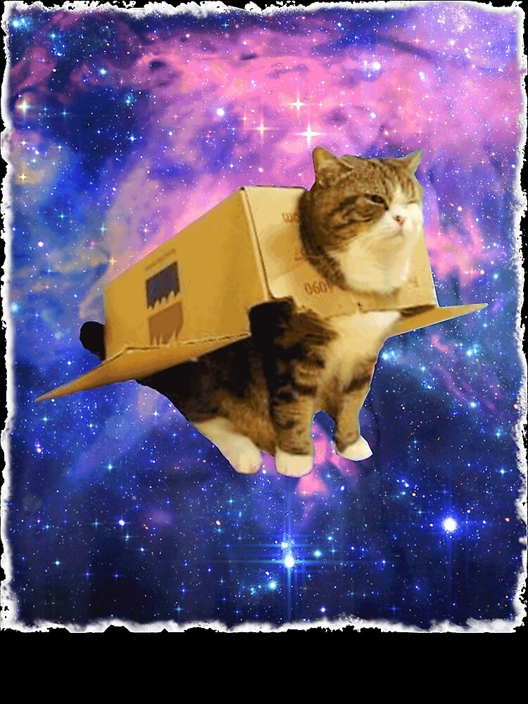 Astronaut Cat Awesome Box Spaceship Epic Cat Meme Photographic Print For Sale By Profitdull