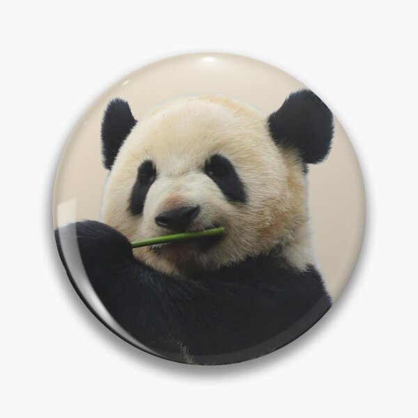 Item preview, Playful Panda designed and sold by RainbowSpinkle.