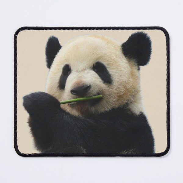 Item preview, Playful Panda designed and sold by RainbowSpinkle.