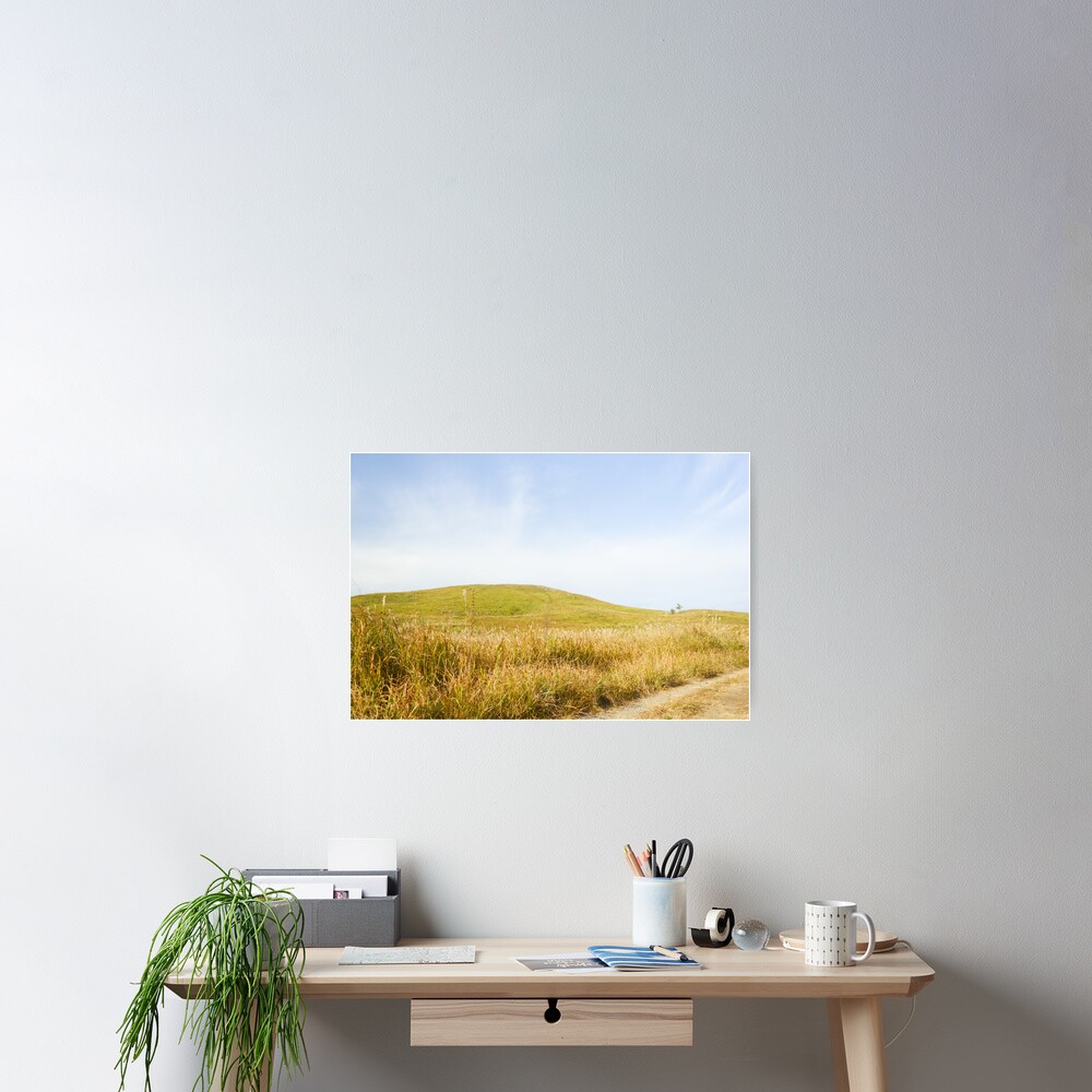 Item preview, Poster designed and sold by adamayokuy.