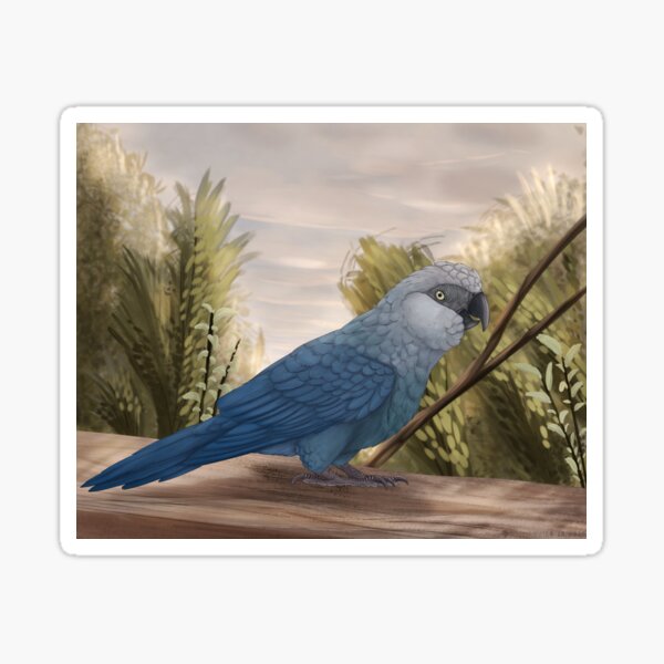 Item preview, Spix macaw portrait designed and sold by DragonArtist15.