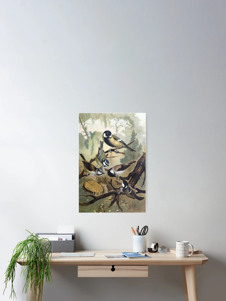 Thumbnail 2 of 3, Poster, Titmice designed and sold by RTP-Studio.