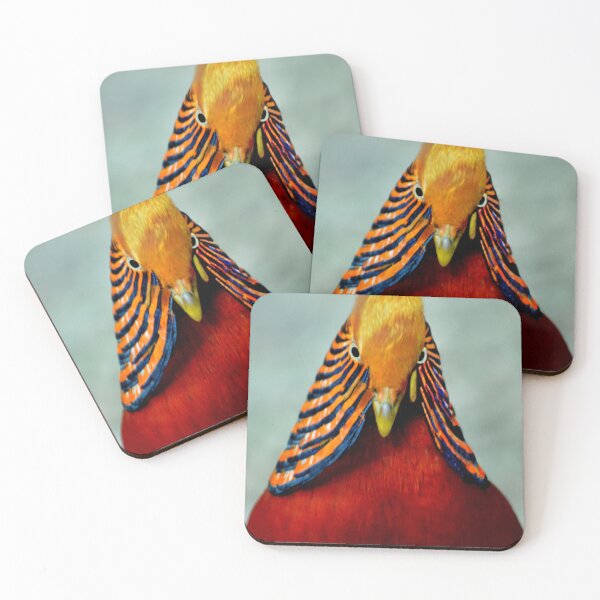 Item preview, Golden Pheasant designed and sold by Laurie Minor.