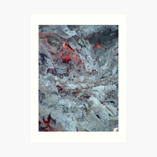 Camp Oven Art Print