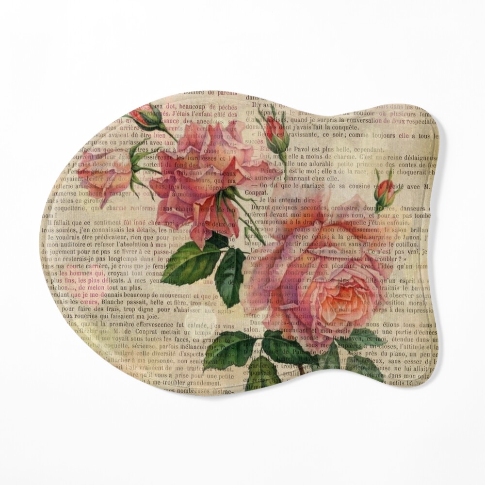 Botanical print, vintage page - Pink Roses