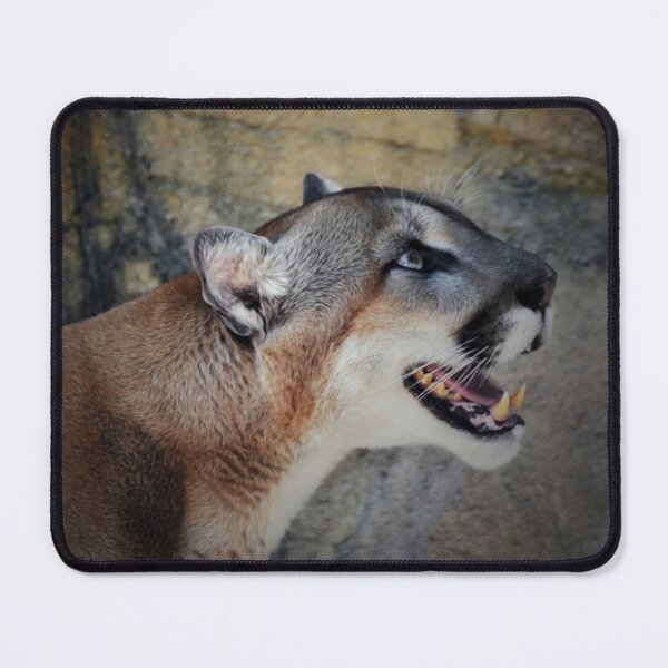 Item preview, Cougar Profile designed and sold by Savannah Gibbs.