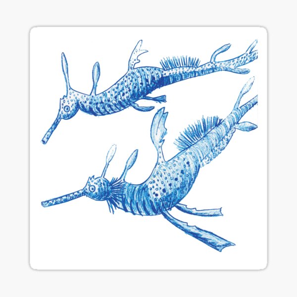 Amber Hall AUSTRALIA Weedy Sea Dragons Lithograph Sticker