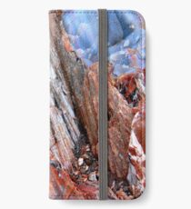 Cascades iPhone Wallet/Case/Skin