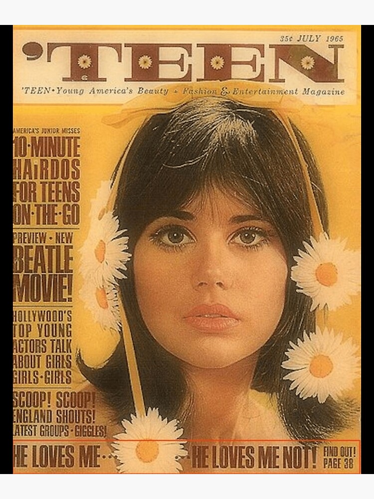 "VINTAGE TEEN MAGAZINE Poster" Poster for Sale by pratilabaf Redbubble