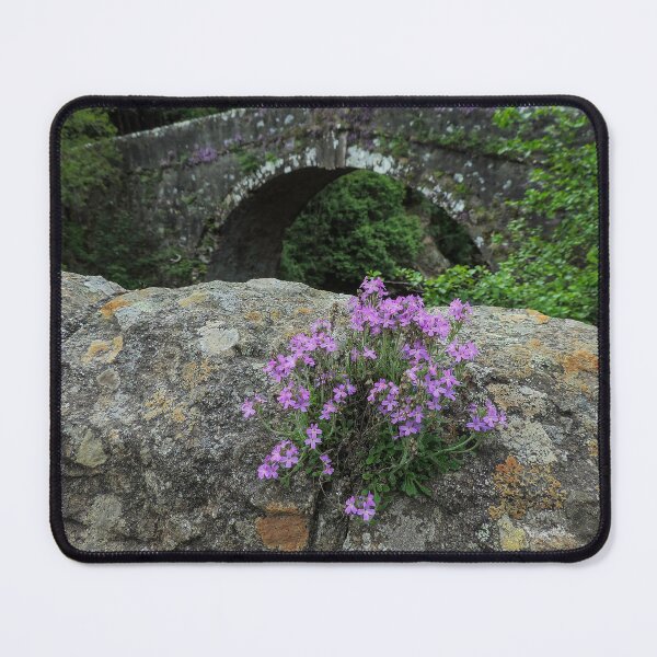 Item preview, Wade's Bridge, Whitebridge - River Fechlin, Scottish Highlands designed and sold by Marilyn Harris.