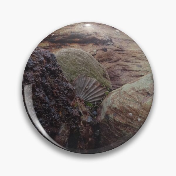Item preview, Imbedded Shell designed and sold by scholara.