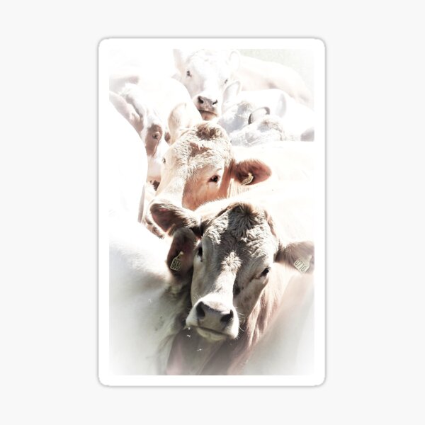 Item preview, Cow parade designed and sold by frugnusdesign.