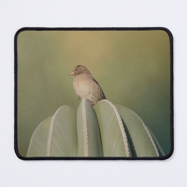 Item preview, Female House Sparrow on Cactus Two designed and sold by Elisabeth Lucas.