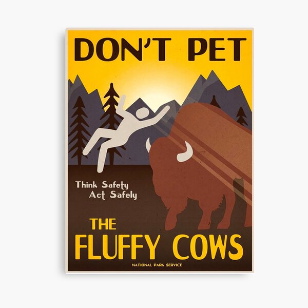 Flufy Cows Dont Pet Canvas Print