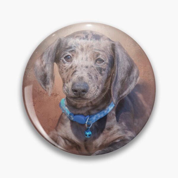 Item preview, Dapple Dachshund Two designed and sold by Elisabeth Lucas.