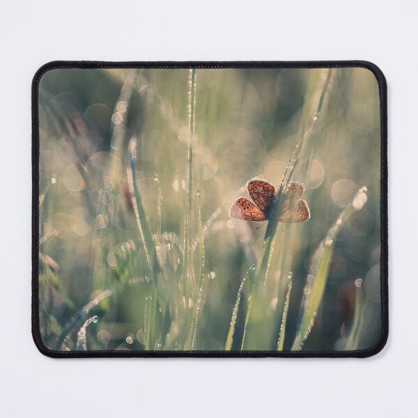 Item preview, Butterfly, bluebird roe on a dewy meadow in the morning designed and sold by Elżbieta Kaps.