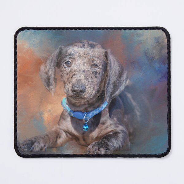 Item preview, Dapple Dachshund Three designed and sold by Elisabeth Lucas.