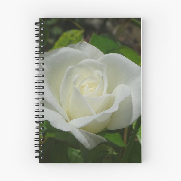 Item preview, Quietly White designed and sold by scholara.