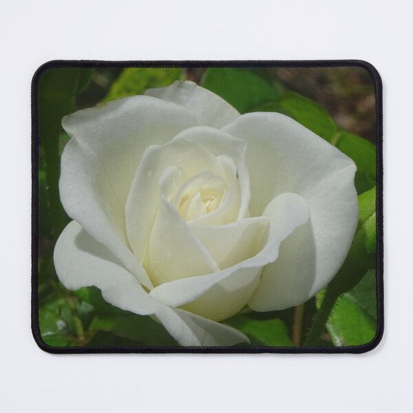 Item preview, Quietly White designed and sold by scholara.