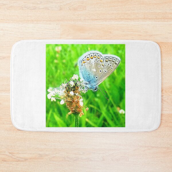 Item preview, Common Blue (Bläuling) designed and sold by angel1.