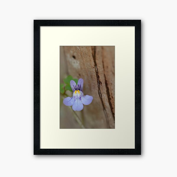 Item preview, Native Violet designed and sold by BroomstickMagic by Dani Musicka.