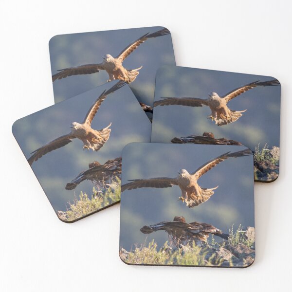 Item preview, Black Kite vs young Egyptian Vulture designed and sold by Dominika Aniola.