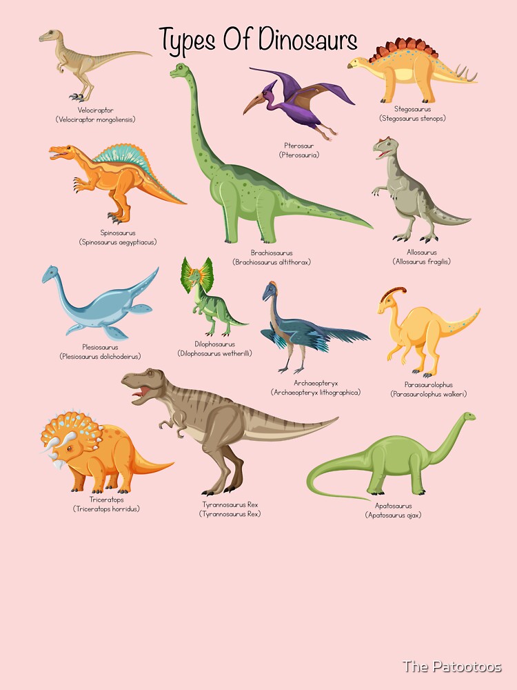 Types of dinosaurs - Cute loving dinosaurs educational identification   Kids T-Shirt for Sale by The Patootoos